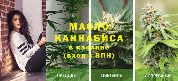 ПСИЛОЦИБИНОВЫЕ ГРИБЫ Архангельск