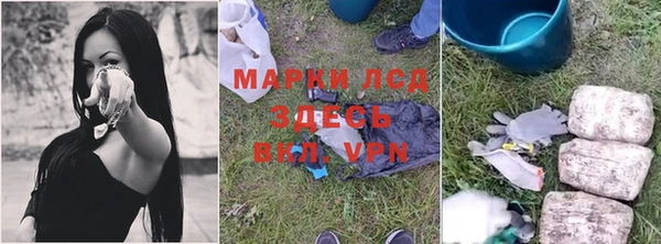 ПСИЛОЦИБИНОВЫЕ ГРИБЫ Архангельск
