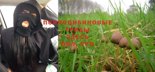 соль ск Вяземский
